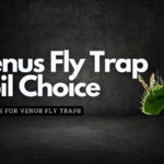 Best Soil Type for Venus Fly Trap: Tips & Recommendations